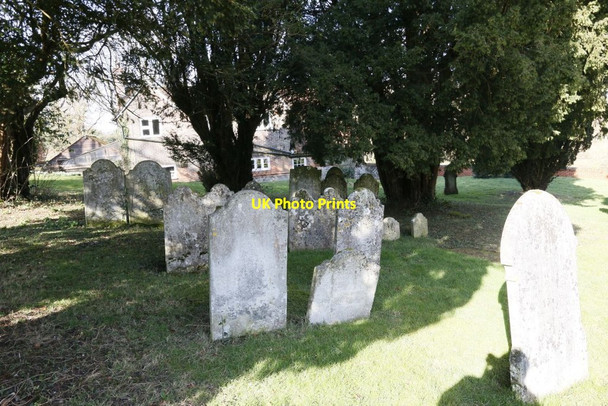 Photo 6"x4" Headstones under the Trees Abbots Worthy c2015