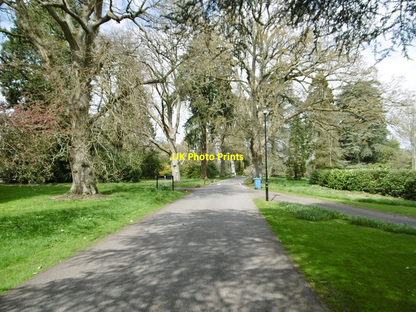 Photo 6"x4" Canford Park, drive Wimborne Minster c2015