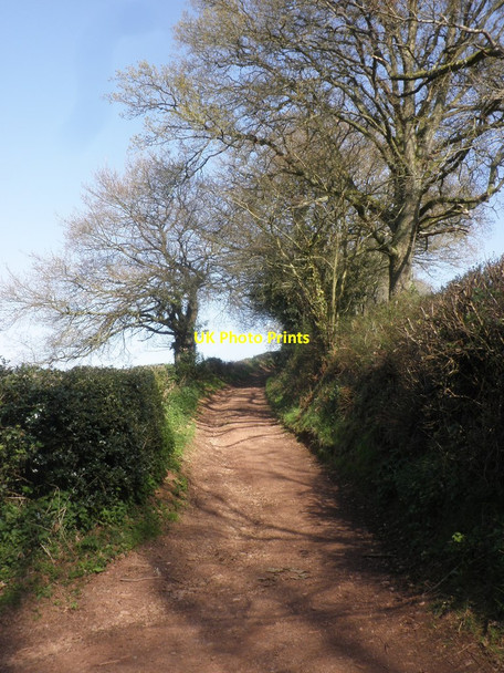 Photo 6"x4" Farm track Andersfield c2015