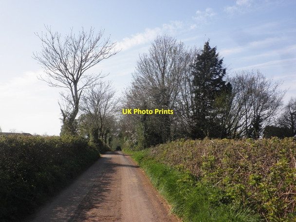 Photo 6"x4" Bush Lane Lower Aisholt c2015