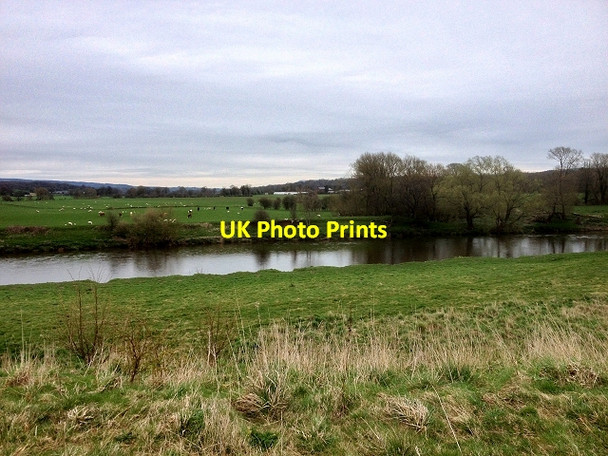 Photo 6"x4" Ribble Valley Flood Plain from the Viewpoint at Brockholes Nature Reserve Grange\/SD5731 c2015