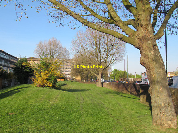 Photo 6"x4" Grass verge, Albany Road Camberwell c2015