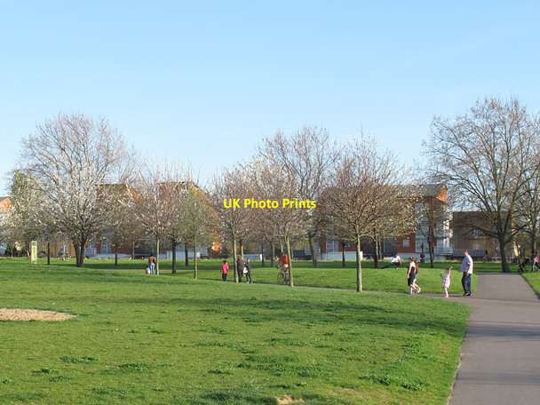 Photo 6"x4" Paths in Burgess Park Camberwell c2015