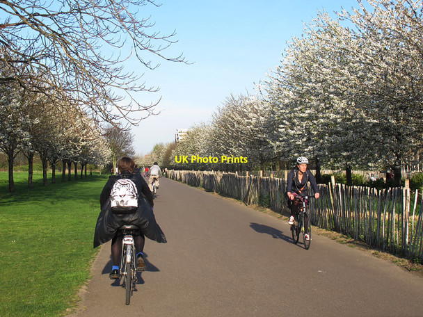 Photo 6"x4" Cyclists passing in Burgess Park Camberwell c2015