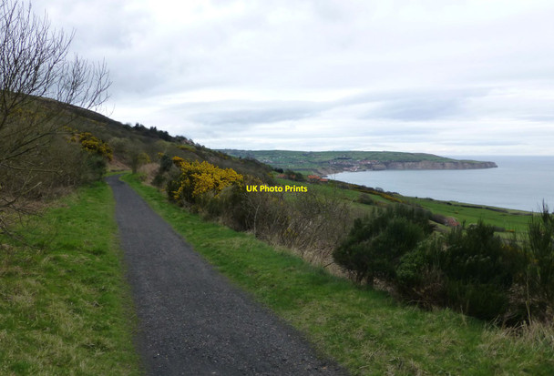 Photo 6"x4" Track-bed of the old Scarborough and Whitby line Ravenscar c2015