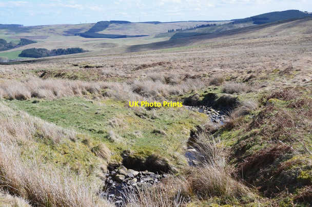 Photo 6"x4" Moorland burn, Copelaw Rig Ettrickbridge c2015