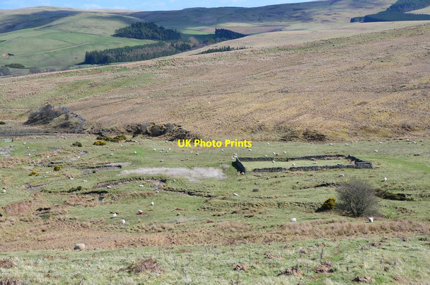 Photo 6"x4" Sheepfold by the Hawkshaw Burn Ettrickbridge c2015
