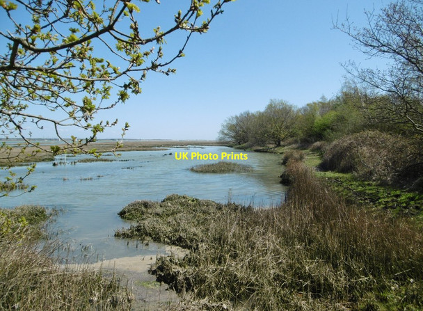 Photo 6"x4" Ashlett, saltmarsh Ashlett c2015