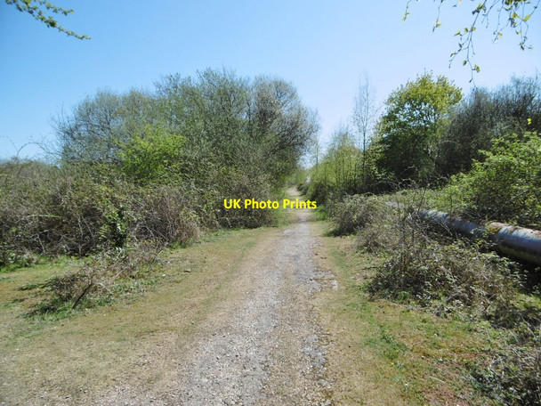 Photo 6"x4" Fawley, footpath Stonehills\/SU4602 c2015