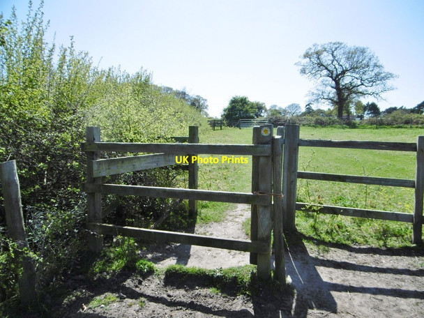 Photo 6"x4" Fawley, kissing gate Stonehills\/SU4602 c2015