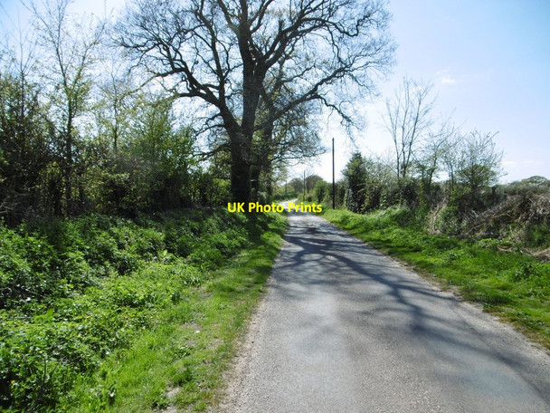 Photo 6"x4" Badminston Lane Stonehills\/SU4602 c2015