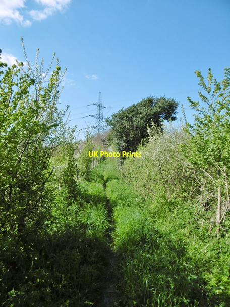 Photo 6"x4" Fawley, footpath Fawley\/SU4503 c2015