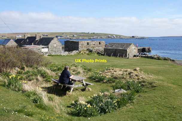 Photo 6"x4" The garden at Gardiesfauld Hostel, Uyeasound Uyeasound c2015