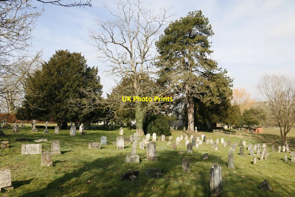 Photo 6"x4" Looking towards St Mary Abbots Worthy c2015