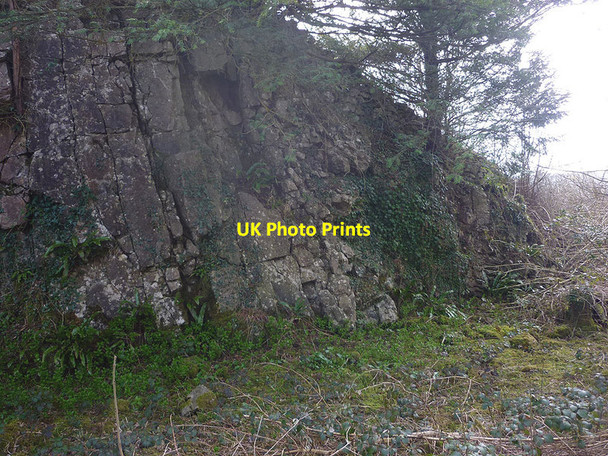 Photo 6"x4" Two types of limestone, Trowbarrow LNR Red Bridge c2015