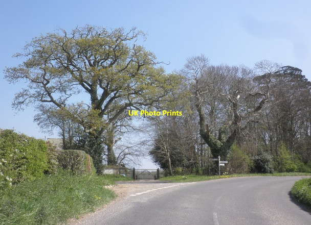 Photo 6"x4" Meeting of four lanes Allowenshay c2015