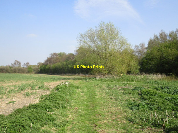 Photo 6"x4" Tilts Lane approaching the former railway Tilts c2015