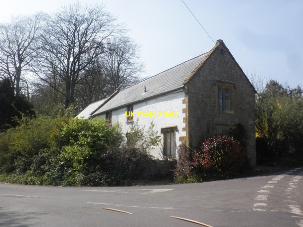 Photo 6"x4" House on Moolham Lane Ilminster c2015