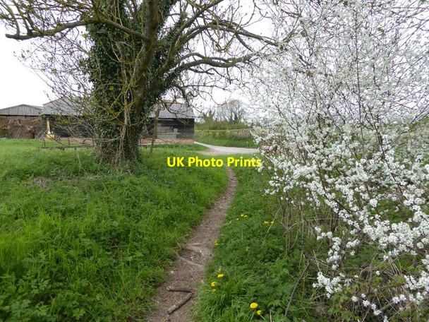 Photo 6"x4" Bridleway approaches Nutbane Lane Clanville\/SU3149 c2015