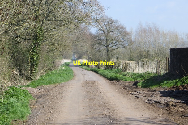 Photo 6"x4" Butleigh Drove Nythe\/ST4234 c2015