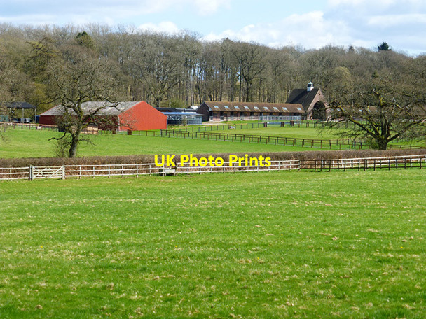 Photo 6"x4" Stype Wood Stud, Shalbourne Bagshot\/SU3165 c2015