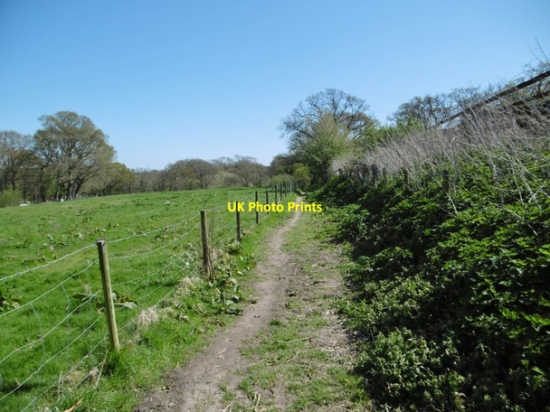 Photo 6"x4" Lepe, off road cycle trail Langley\/SU4400 c2015