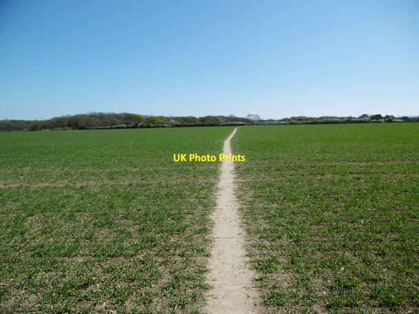Photo 6"x4" Lepe, footpath Langley\/SU4400 c2015