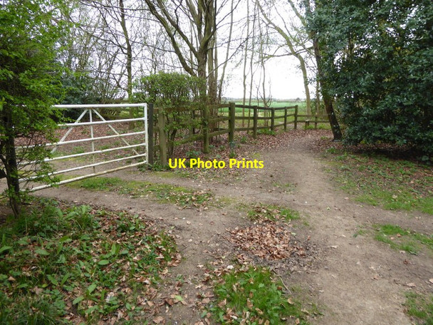 Photo 6"x4" Footpath heads out of Horse Croft Copse Penton Grafton c2015