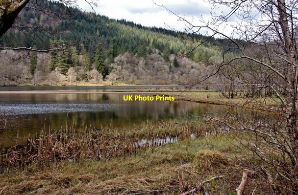 Photo 6"x4" Still waters on Dubh Loch Inveraray c2015