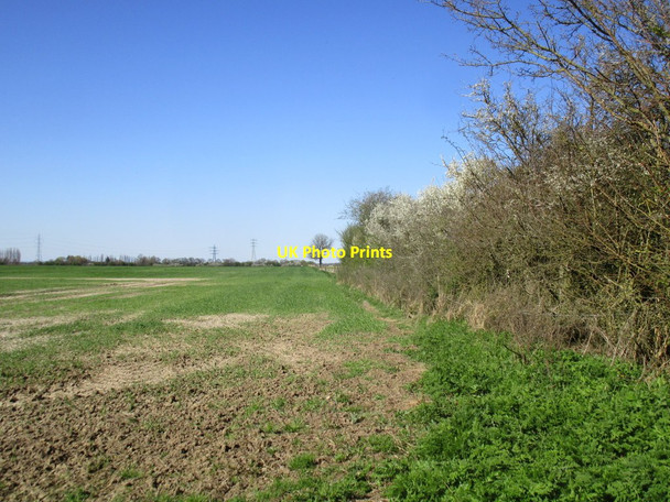 Photo 6"x4" Field edge near Wawne Wawne c2015