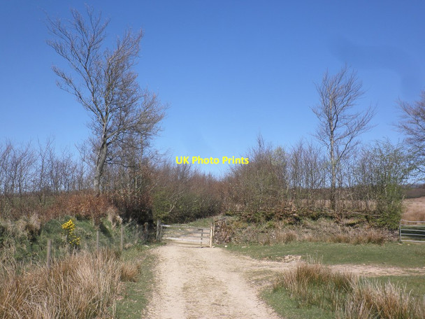 Photo 6"x4" Entrance to Stone Lane Exford c2015