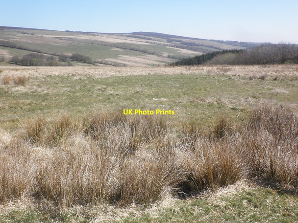 Photo 6"x4" Prescott Down Exford c2015