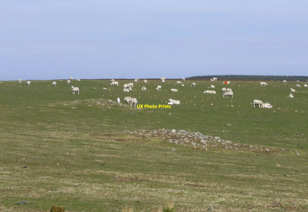 Photo 6"x4" Piles of stones in the grass Warenford c2015