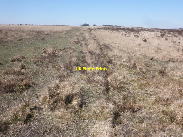 Photo 6"x4" Indistinct track on Kitnore Heath Codsend c2015