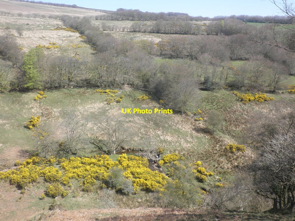 Photo 6"x4" Old field system, near Codsend Codsend c2015