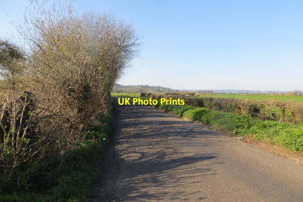 Photo 6"x4" Watchwell Drove Butleigh Wootton c2015