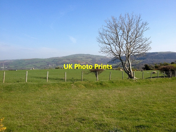 Photo 6"x4" Farmland to the West of Dolwen Dolwen\/SH8874 c2015