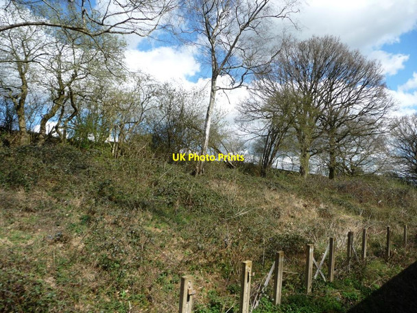 Photo 6"x4" Shallow wooded cutting, east of North Weald Station Colliers Hatch c2015