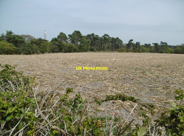 Photo 6"x4" Stanswood, stubble field Calshot c2015