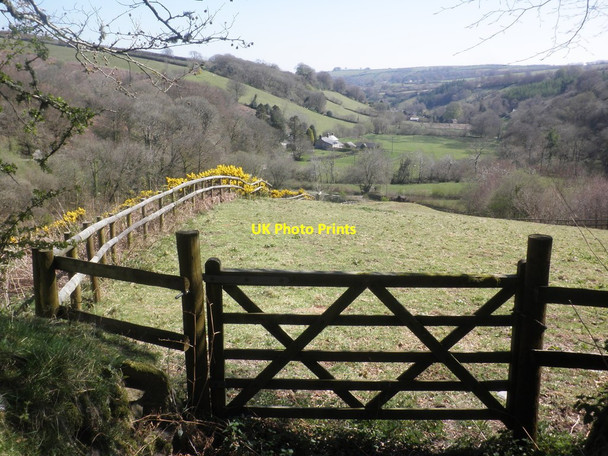 Photo 6"x4" View towards Downscombe Farm Edgcott\/SS8438 c2015