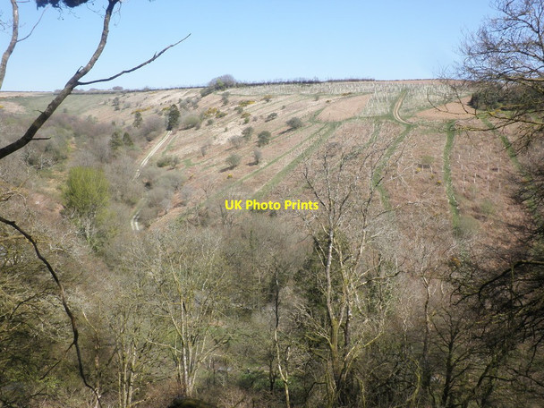 Photo 6"x4" Hillside above Swincombe Edgcott\/SS8438 c2015