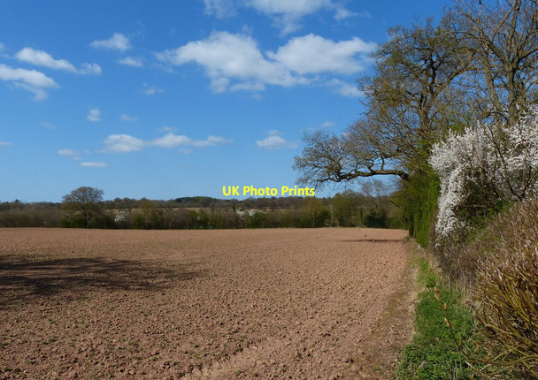 Photo 6"x4" Farmland along the B4115 Kenilworth c2015