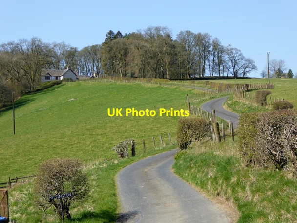 Photo 6"x4" The winding road to Milsington Roberton\/NT4214 c2015