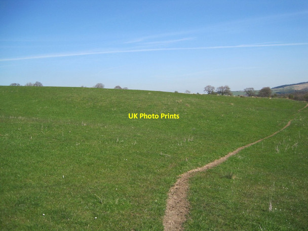 Photo 6"x4" Farmland and Bridleway towards Edlingham Edlingham c2015