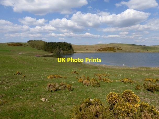 Photo 6"x4" Western end of Branxholme Easter Loch Harwood on Teviot c2015