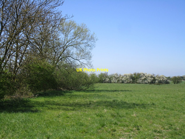 Photo 6"x4" Fenland hedges Chapel Hill\/TF2054 c2015