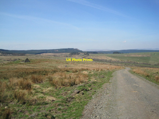 Photo 6"x4" Track towards B6341 Edlingham c2015