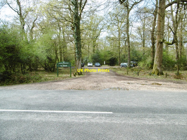 Photo 6"x4" Ivy Wood Car Park Balmerlawn c2015