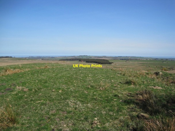 Photo 6"x4" Bridleway towards Stirkhill Plantation Edlingham c2015