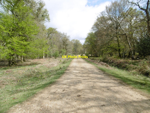 Photo 6"x4" New Copse Inclosure, cycle route Balmerlawn c2015